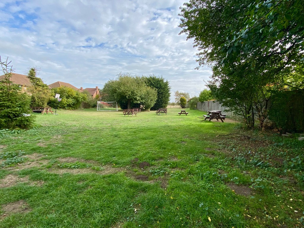 Spacious Beer Garden Grass